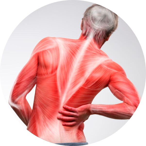 Le dos est une source courante de douleurs musculaires et articulaires chez la plupart des gens.